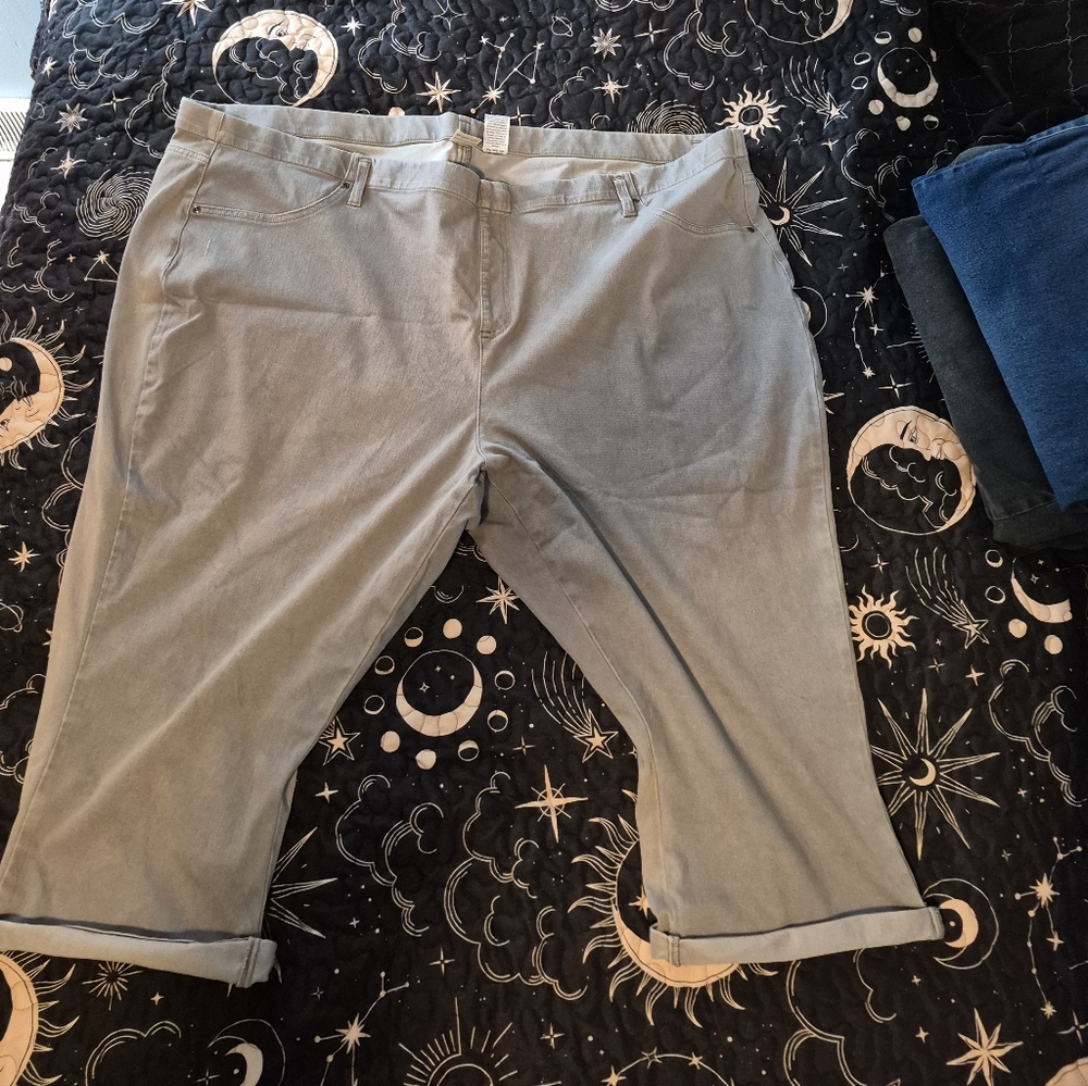 Terra & Sky Women's Gray Capris